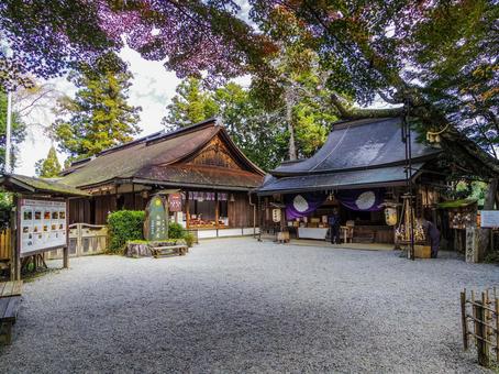 【奈良県】吉野町・吉水神社 吉水神社,吉野町,寺社仏閣の写真素材