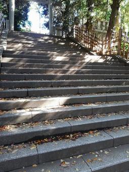 下から見た神社の階段 下から見た神社の階段の写真