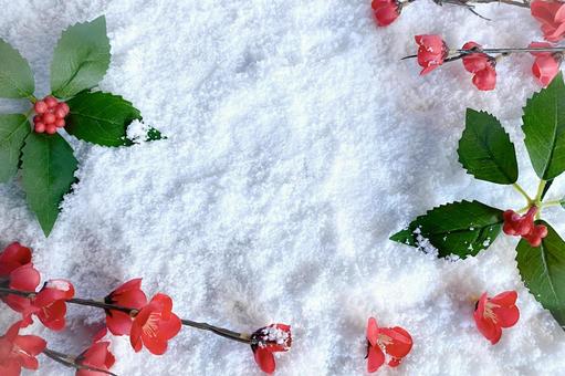 年賀状 お正月,年賀状,お年賀の写真素材