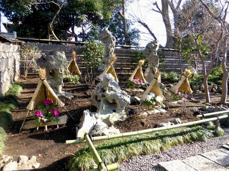 鶴岡八幡宮の一角、冬のぼたん園風景 鶴岡八幡宮の一角、冬のぼたん園風景の写真