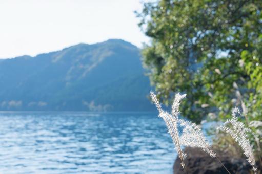 ススキの向こうに見える湖と山 ススキの向こうに見える湖と山 ススキ,湖,水面の写真素材