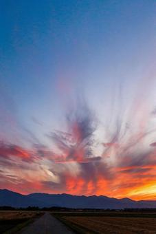 夕焼け 夕焼けの写真
