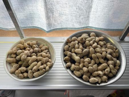 茹でた落花生 落花生,豆,茹でたの写真素材