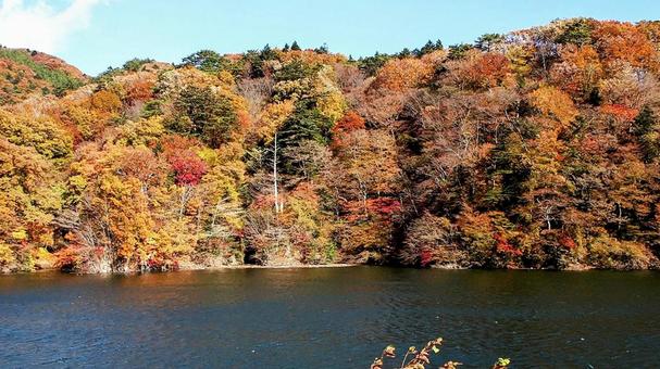 秋の塩原ダム湖&山の紅葉(那須塩原市) 秋の塩原ダム湖&山の紅葉(那須塩原市) 秋,塩原ダム湖,紅葉の写真素材