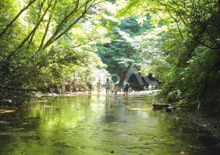 川のある風景 川,かわ,風景の写真素材