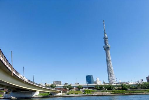 スカイツリーと橋の写真
