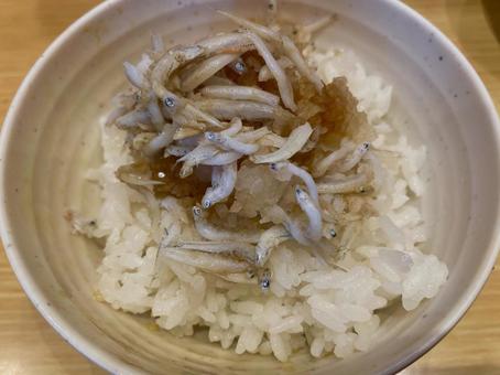 白魚 しらす ご飯 白魚 しらす ご飯の写真