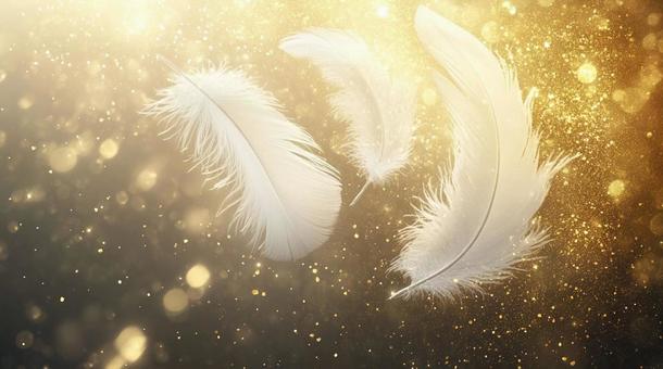 Sparkling white feather, glitter, feather, feather, JPG