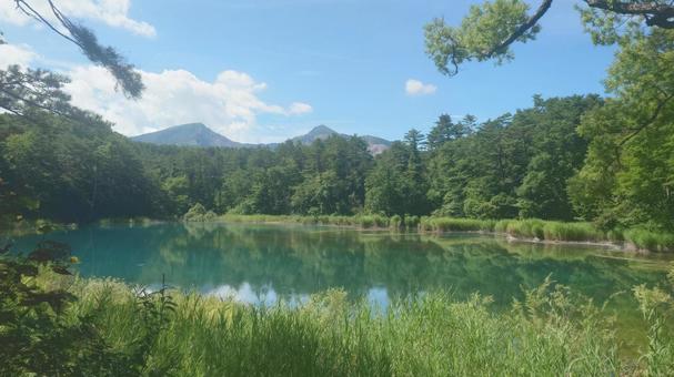 五色沼⑤_2025.08 五色沼⑤_2025.08 自然,風景,五色沼の写真素材