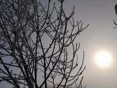 Winter sky, JPG