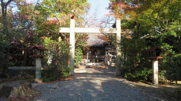 天武天皇社 境内の風景 参道 社殿 天武天皇社 境内の風景 参道 社殿の写真