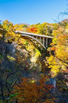 鳴子峡の秋-Vol.4⒇の写真