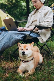 犬の隣に座る男性 男性,外国人,犬の写真素材
