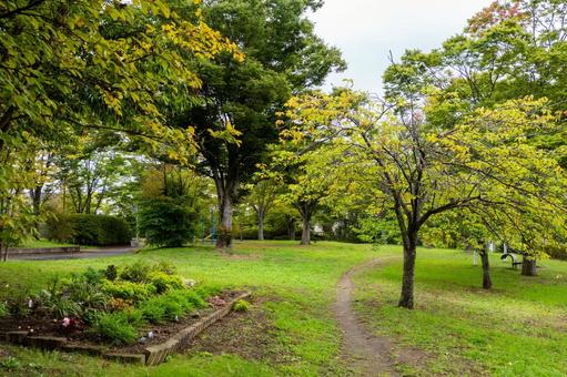 天沼公園の風景⑼ 天沼公園の風景⑼の写真