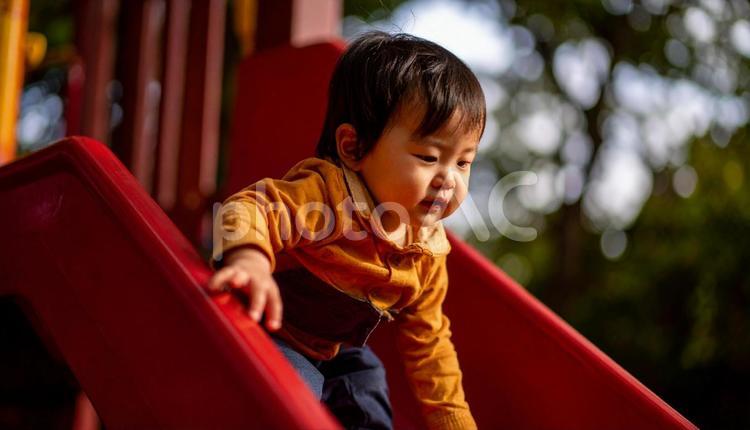 公園の遊具で遊ぶ日本人子供・幼児・滑り台 滑り台,公園,幼児の写真素材