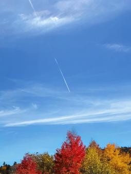 紅葉の上の飛行機雲 紅葉の上の飛行機雲の写真