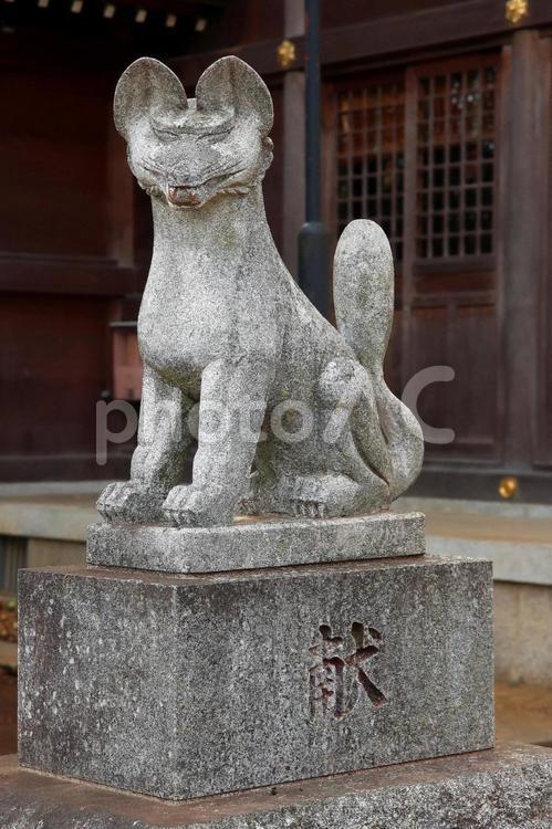 六所神社（世田谷） 六所神社,武蔵総社六所宮分霊,天照皇大神の写真素材