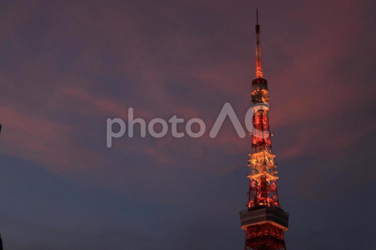 夕暮れの東京タワー ビル,電波塔,東京タワーの写真素材