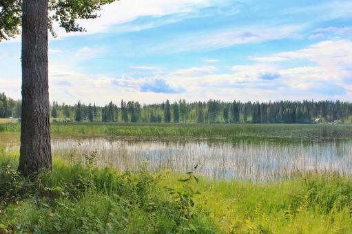 Scandinavian summer lakeside, JPG Scandinavian summer lakeside, JPG