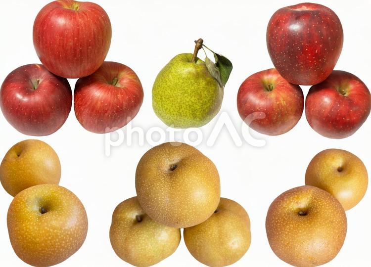 切り抜きPSD素材ー秋のフルーツ2 フルーツ,果物,秋の写真素材