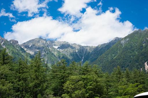 夏山 夏山の写真