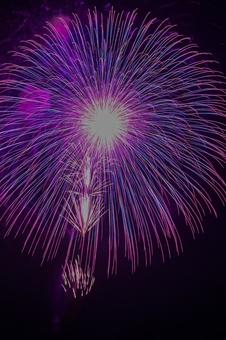 花火 花火の写真