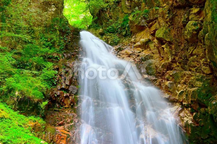 流れ落ちる水が綺麗な夏の乗政大滝 乗政大滝,滝,水の写真素材