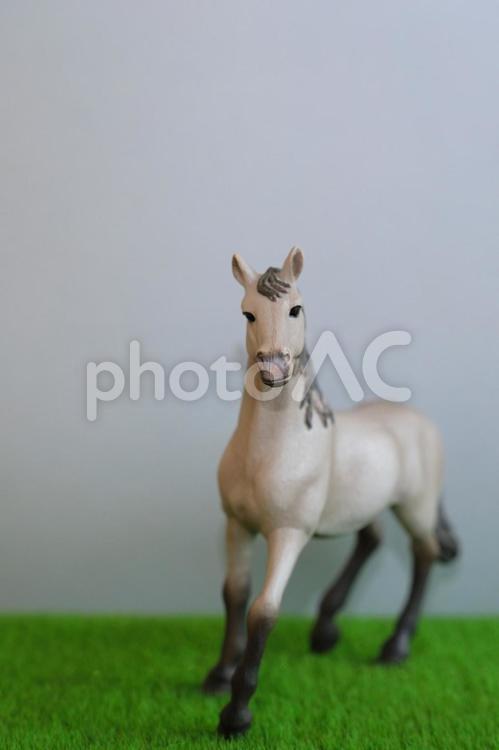 シュライヒ　芝生の上に立つカメラ目線の白馬のフィギュア シュライヒ,シュライヒフィギュア,馬の写真素材