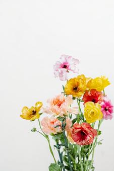 花瓶の花 花瓶の花 ラナンキュラス,カーネーション,ミニバラの写真素材
