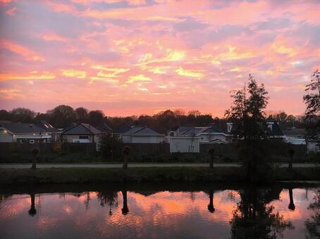 ピンク色の夕暮れ風景 ピンク色の夕暮れ風景の写真
