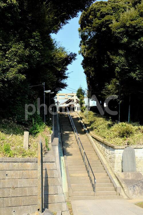 神社の石段 冬,屋外,手すりの写真素材