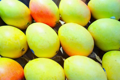 マンゴー マンゴー,フルーツ,果実の写真素材