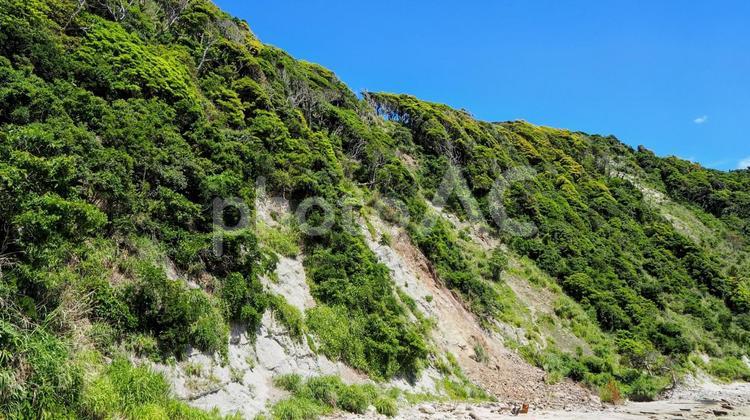夏の鯛ノ浦・海岸の断崖絶壁・千葉県鴨川市 夏,鯛の浦,崖の写真素材