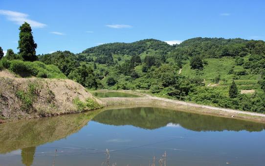 山古志虫亀 野池の水面 山古志虫亀 野池の水面 棚田,木,水面の写真素材