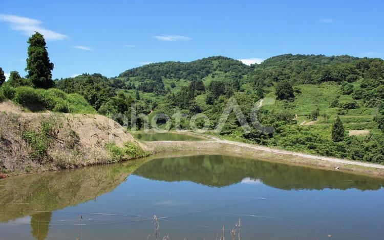 山古志虫亀　野池の水面 棚田,木,水面の写真素材