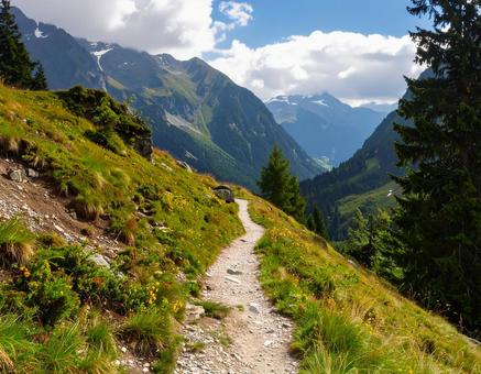 ハイキングコースの山道 ハイキングコースの山道の写真