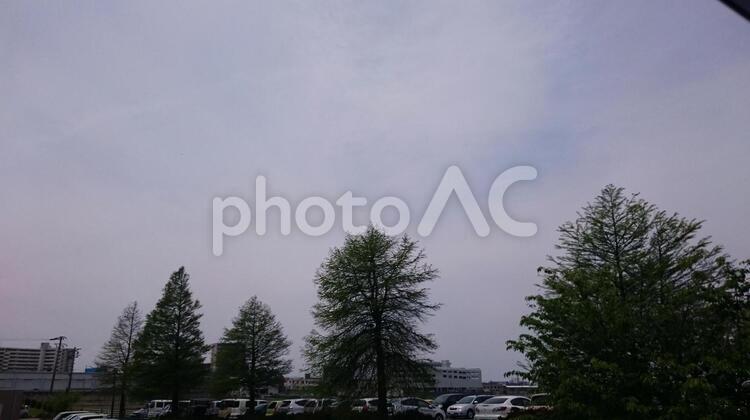 樹木と空  何人もありません,公園,冬の写真素材