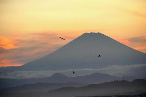 夕焼けに染まる富士山 夕焼けに染まる富士山の写真