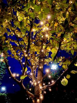 イルミネーション イルミネーション,電飾,光の写真素材