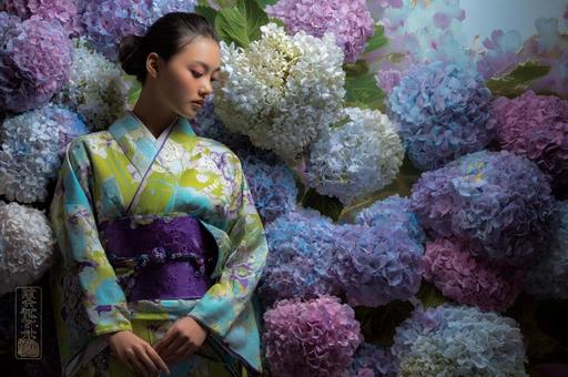 紫陽花アートと浴衣女性 紫陽花アートと浴衣女性の写真