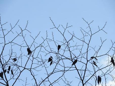 秋の風景 秋の風景の写真