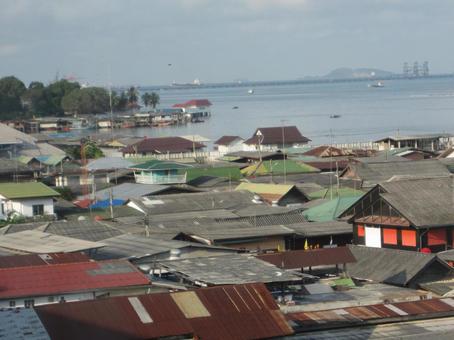 タイ タイの写真