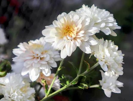 気持ちの探り合いの写真