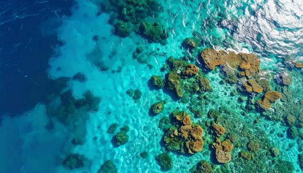 俯瞰でみる南国の海 俯瞰でみる南国の海の写真