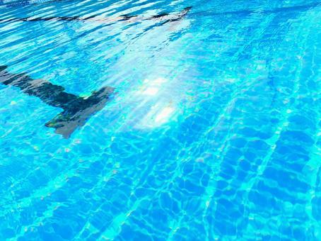 プール 31 スイミング,プール,きらめきの写真素材