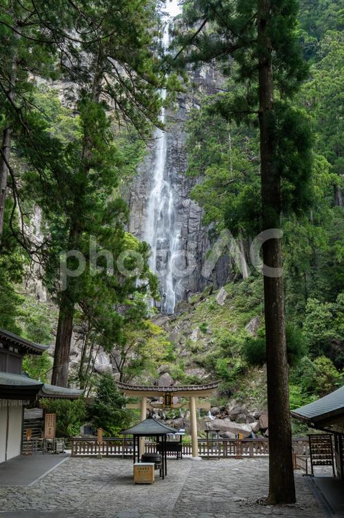 和歌山　熊野那智大社　飛瀧神社　那智滝 飛瀧神社,飛瀧,神社の写真素材