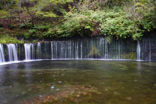 白糸の滝 白糸の滝 白糸の滝,滝,軽井沢の写真素材