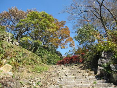 鳥取城　山上ノ丸への石段 鳥取城,久松山城,兵糧攻めの写真素材