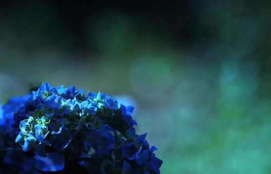 Flower pattern - Hydrangea - Dark image, flower, hydrangea, blue hydrangea, JPG