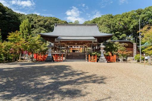 奈良 龍田大社 拝殿 奈良 龍田大社 拝殿 龍田大社,龍田,大社の写真素材